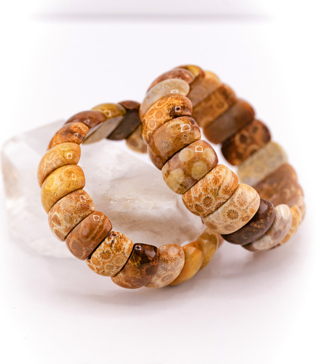 Dazzle with a relic of ancient seas. This Fossil Coral Bracelet collected in Morocco's Western Sahara Desert comes in a colorful sunset palette, highlighting the tiny section of fossilized coral colony who lived hundreds of millions of years ago.
Worn as a collector's piece or purely for fashion, this bracelet is a statement piece. Each Fossil Coral piece in the two-hole, double elastic bracelet measures 20mm x 10mm x 8mm.